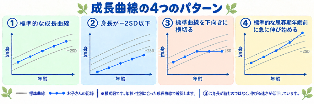 成長曲線の4つのパターン:標準的な成長曲線、身長が−2SD以下、成長率の低下、標準的な思春期年齢前の急な伸び