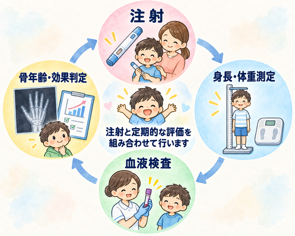 成長ホルモン治療は、注射と身長・体重測定、血液検査、骨年齢・効果判定を組み合わせて行います
